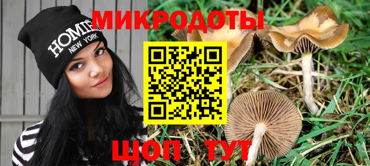 Псилоцибиновые грибы мицелий  Вход с VPN  Печора  Псилоцибиновые грибы GOLDEN TEACHER 